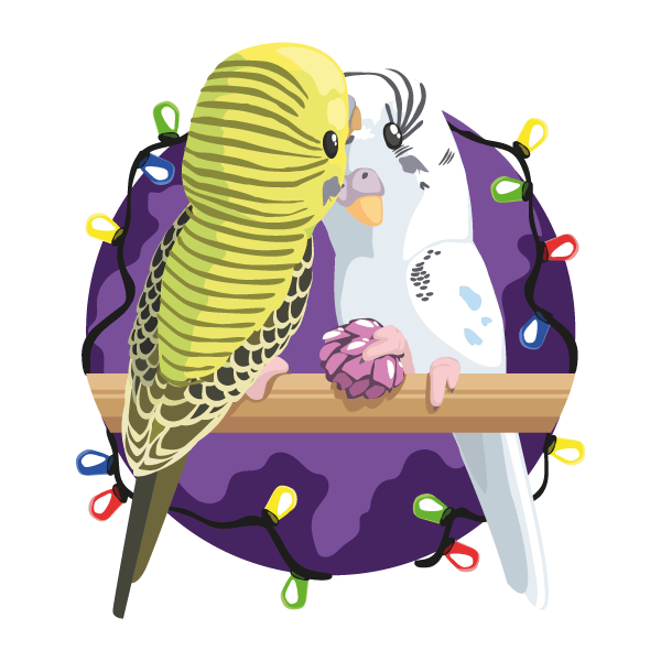 Double portrait of two budgies surroinded by fairy lights