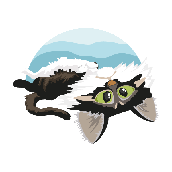 Pet portrait of a cute black and white coloured cat looking at the viewer with big eyes while on its back