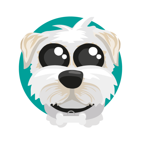 Pet portrait of a cute dog with big eyes looking at the viewer